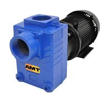 AMT
